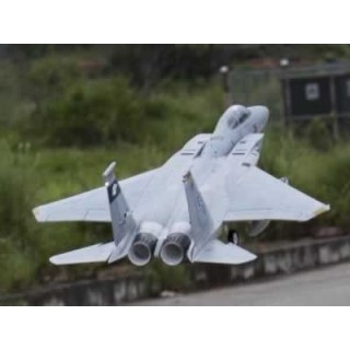 Freewing - F-15C Eagle Super Scale High Performanc