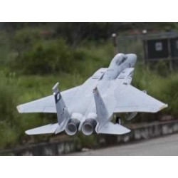 Freewing - F-15C Eagle Super Scale High Performanc