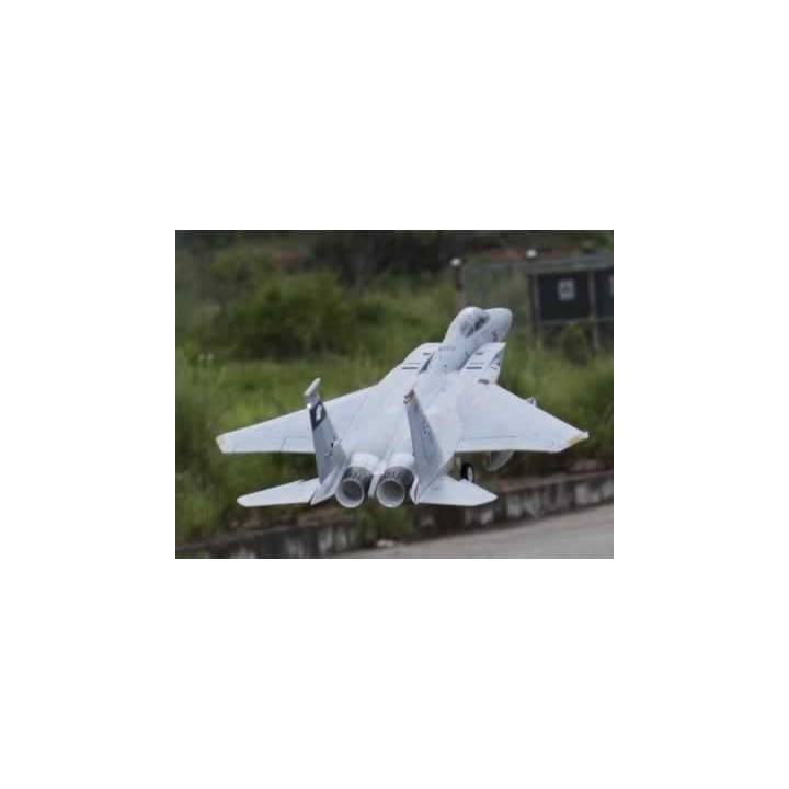 Freewing - F-15C Eagle Super Scale High Performanc