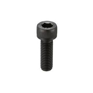 Vite cilindrica esagonale nera M4x14 (10 pz)