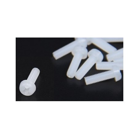 Viti nylon 3x25 mm (10 pz)