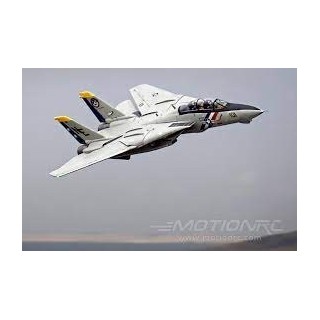 Freewing - F-14 Tomcat Twin 80mm EDF Jet - PNP