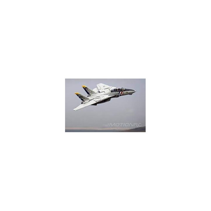 Freewing - F-14 Tomcat Twin 80mm EDF Jet - PNP