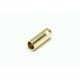 Spinotti dorati  Femmina 5,5 mm  10 pz