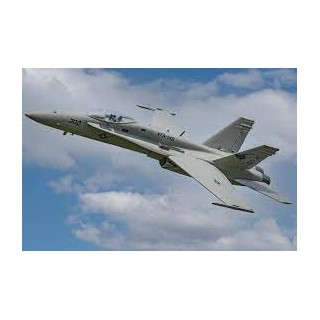 Freewing - F/A-18C Hornet "Gray Diamonds" High Per