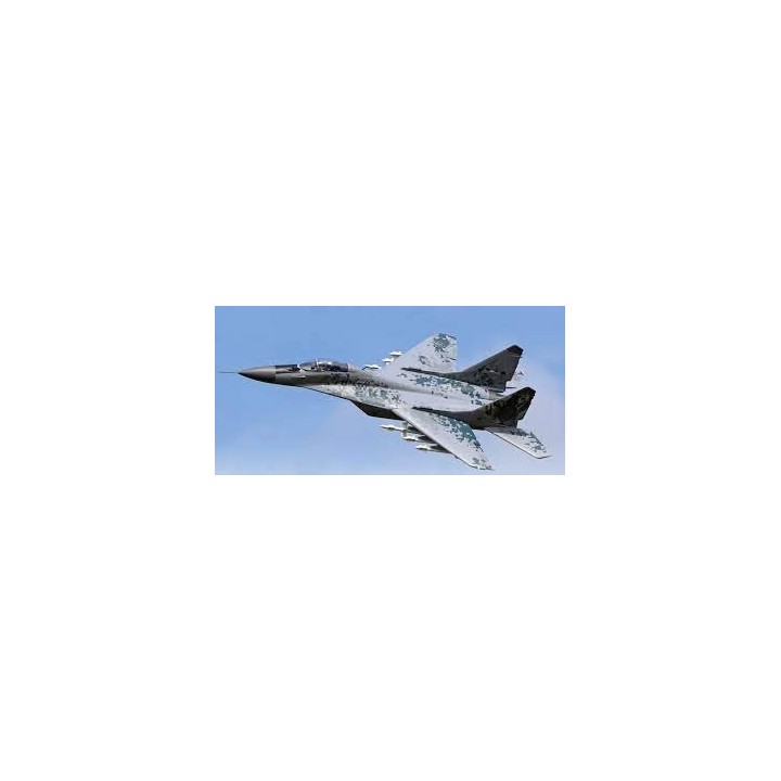 Freewing - MiG-29 Fulcrum Digital Camo Twin 80mm E