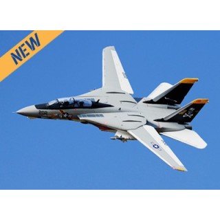 Freewing - F-14 Tomcat Twin 64mm EDF Jet - PNP