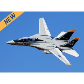Freewing - F-14 Tomcat Twin 64mm EDF Jet - PNP