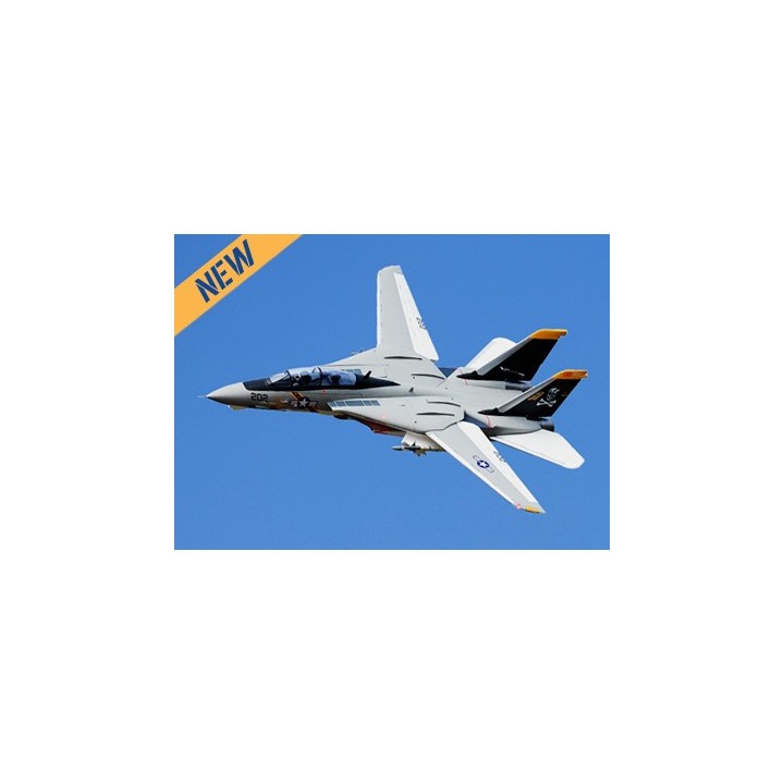 Freewing - F-14 Tomcat Twin 64mm EDF Jet - PNP