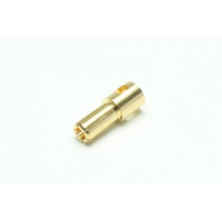 Spinotti dorati  Maschi 5,5 mm  10 pz