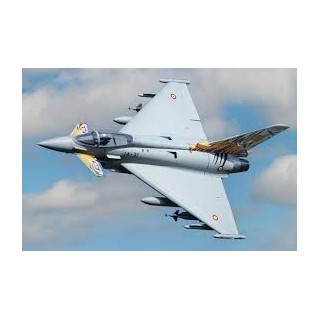 Freewing - Eurofighter Typhoon 90mm EDF Jet - PNP