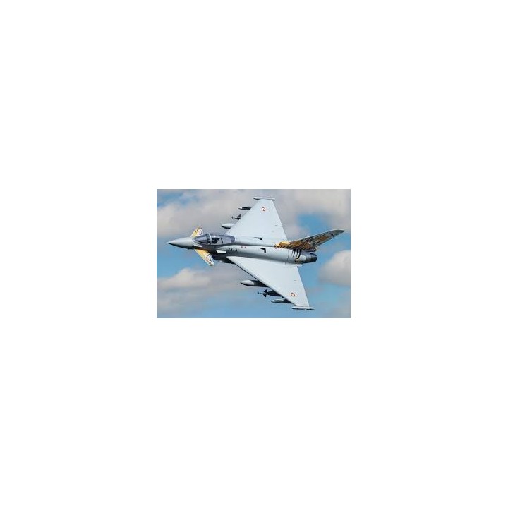 Freewing - Eurofighter Typhoon 90mm EDF Jet - PNP
