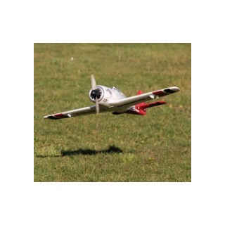 Multiplex - Aeromodello Elettrico RaceWulf  RR